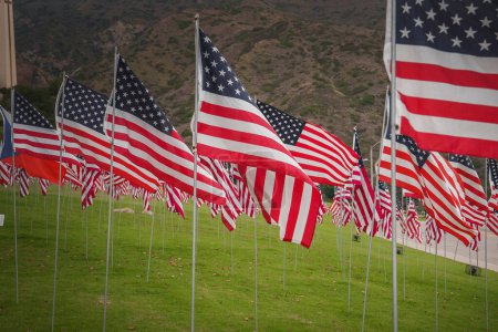 Banderas estadounidenses ondeando en un patrón de cuadrícula, situado en un campo pintoresco con colinas onduladas en California. El cielo nublado añade una luz suave y difusa a la exhibición patriótica.