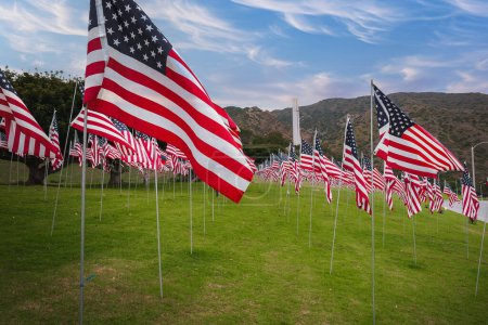 Amerikanische Flaggen an Masten auf einem Feld mit sanften Hügeln im Hintergrund, möglicherweise in Kalifornien. Patriotische Szene mit Ordnung und Wiederholung unter bewölktem Himmel.