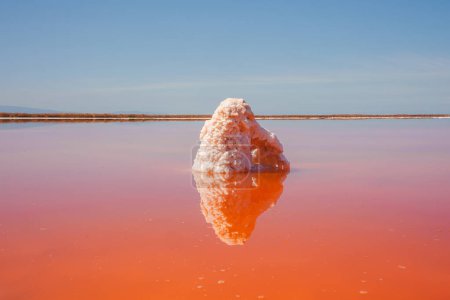 Discover the stunning beauty of Alviso Pink Lake Park in California. A symmetrical composition of a pink lake reflecting salt formations under a clear blue sky.