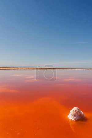 Photo for Explore the vibrant pink lake at Alviso Pink Lake Park, California. Rich pink hues meet clear blue skies, creating a stunning and serene contrast in the natural landscape. - Royalty Free Image