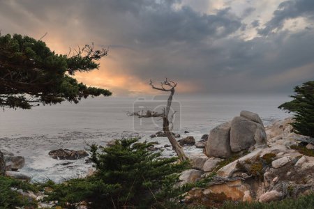 Heitere Küstenlandschaft am 17 Mile Drive, Kalifornien, USA. Schroffes, felsiges Gelände mit grüner Vegetation, verwitterter Baum, ruhige Meereswellen, dramatischer Himmel.