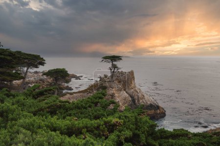 Photo for Serene coastal landscape along the 17 Mile Drive in California, featuring lush greenery, iconic Lone Cypress tree, rocky coastline, calm ocean, and dynamic sky at sunrise or sunset. - Royalty Free Image