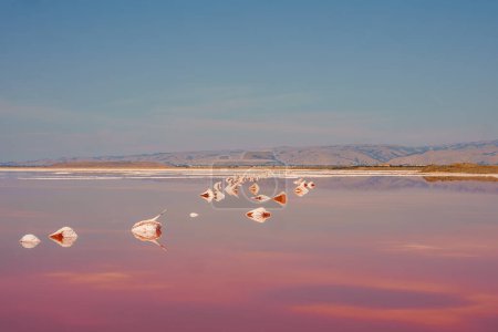Serene scene at Alviso Pink Lake Park, California. Pink lake with calm water reflecting blue sky, salt formations, birds, hills. Peaceful natural beauty.
