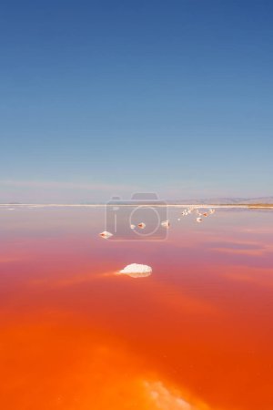 Vibrant pink lake in Alviso Pink Lake Park, California. White salt formations float amidst red water, under a clear blue sky. Serene and otherworldly scenery.