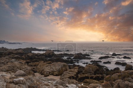 Serene coastal scene along the famous 17 Mile Drive in California, USA. Golden hues at sunrise or sunset, rugged rocks, calm ocean, birds in flight. Rich natural beauty captured.