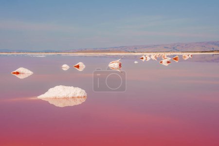 Serene landscape with pink hued lake mirroring the sky and elements at Alviso Pink Lake Park, California. Salt formations and blue sky in the background.