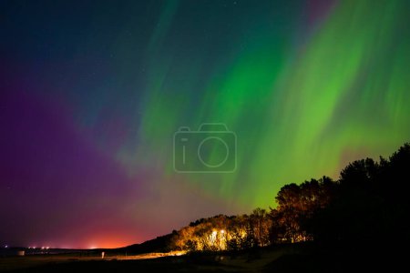 Stunning display of the Aurora Borealis with vibrant green and purple hues over a forested area near Riga and Jurmala, Latvia. Silhouetted trees add contrast.