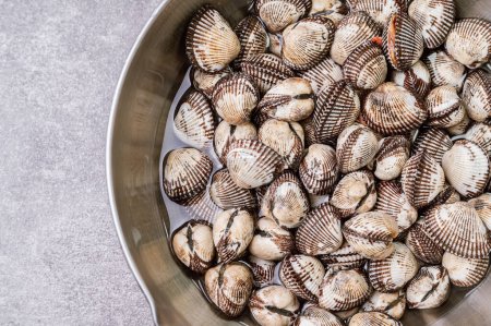 Téléchargez les photos : Coques de fruits de mer frais dans un bol - en image libre de droit