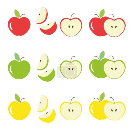 Illustration for Different colors and parts of apples vector set. Fruit design elements. Whole apples, slices, leaves and apple seeds vector design elements isolated on white. - Royalty Free Image