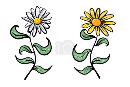 Set de flores de margarita dibujadas a mano