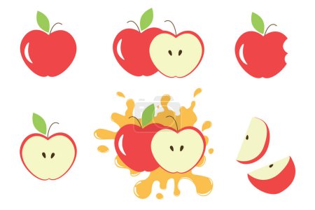 Illustration for Different parts of red apples vector set Fruits design elements Whole apples slices, leaves apple seeds and apples with juice splash vector design elements - Royalty Free Image