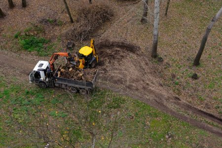 Landschaftsgärtner mit Traktor und LKW mit Kran, um Land von Wurzeln, entwurzelten Stümpfen zu befreien.