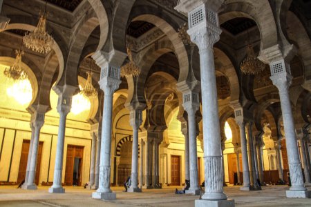 Téléchargez les photos : Mosquée Malik ibn Anas à Carthage, Tunisie, Afrique du Nord - en image libre de droit