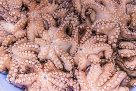 Téléchargez les photos : Marché Pieuvre fraîche. Une délicatesse de la mer à Mahdia - en image libre de droit