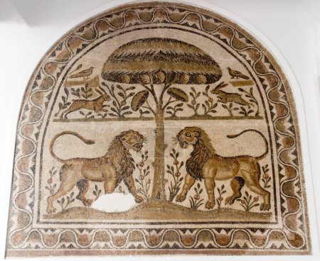 Foto de Patrones de mosaico y los antiguos mosaicos de Túnez en el Museo del Bardo - Imagen libre de derechos