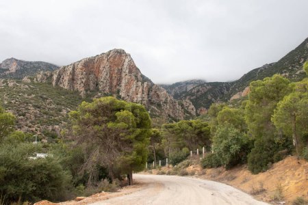 Photo for Majestic Djebel Zaghouan: Tunisia's Stunning Mountain - Royalty Free Image