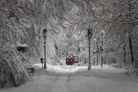 Photo for Budapest, Hungary - Beautiful winter forest scene with snowy forest and old colorful childrens train on the track in the Buda Hills near Csilleberc - Royalty Free Image