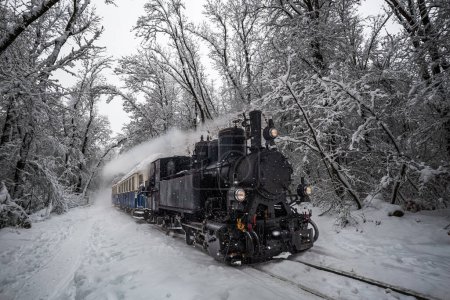 Photo for Budapest, Hungary - Beautiful old nostalgic tank engine (children's train) on the track of the snowy forest of Buda Hills near Csilleberc on December day with snowing - Royalty Free Image