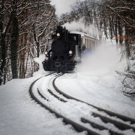 Photo for Budapest, Hungary - Beautiful winter forest scene with snowy forest and nostalgic steam tank engine train on the track in the Buda Hills near Huvosvolgy - Royalty Free Image