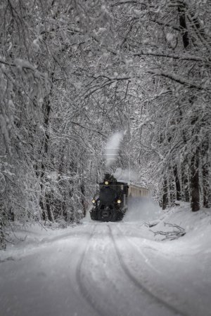 Foto de Budapest, Hungary - Beautiful winter forest scene with snowing, snowy forest and old nostalgic tank engine (children's train) on the track in the Buda Hills near Csilleberc in December - Imagen libre de derechos