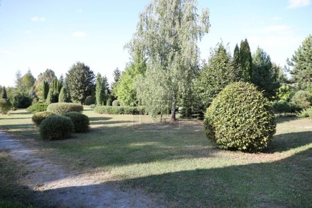 Téléchargez les photos : TERNOPIL, UKRAINE - 16 SEPTEMBRE 2023 Jardin près de Kremenets Forestry College dans le village de Bilokrynytsia, district de Kremenets dans l'oblast de Ternopil - en image libre de droit