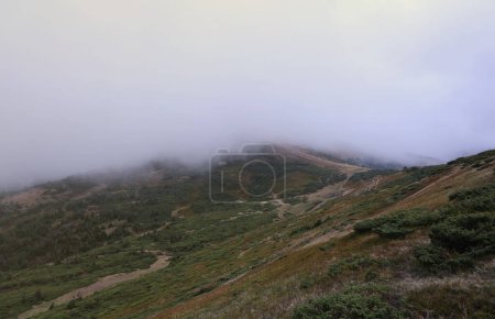 Foto de Vista de la mañana desde los picos de la montaña Dragobrat en las montañas Cárpatos, Ucrania. Paisaje nublado y nebuloso alrededor de los picos Drahobrat temprano en la mañana - Imagen libre de derechos