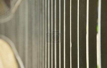 Téléchargez les photos : Vue rapprochée d'une clôture métallique en perspective avec fond flou - en image libre de droit