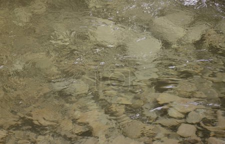 Téléchargez les photos : La texture de l'eau transparente dans la rivière, à travers laquelle sont visibles les pierres de montagne - en image libre de droit