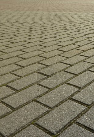 Photo for A large area, covered with a quality paving stone in daylight - Royalty Free Image