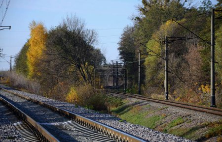 Photo for Autumn industrial landscape. Railway receding into the distance among green and yellow autumn trees - Royalty Free Image