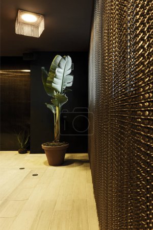 Photo for A wall with a metal curtain in a room with a tropical plant in a large pot - Royalty Free Image