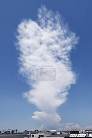 Foto de Las nubes cumulonimbus o cumulonimbus son nubes altamente desarrolladas verticalmente, formadas internamente por una columna de aire cálido y húmedo que se eleva en forma de espiral giratoria. - Imagen libre de derechos