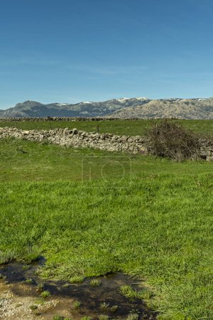 A grass field with separate plots with dividing stone walls and a mountain range with snow-capped peaks in the background