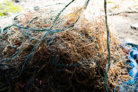 Téléchargez les photos : Pieux de filets de pêche et d'algues sur la jetée du port - en image libre de droit