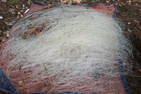 Téléchargez les photos : Piles de cannes à pêche traditionnelles sèches cannes en nylon - en image libre de droit