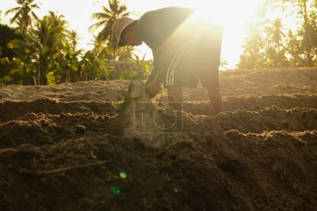 Foto de Los agricultores usan azadas mientras cultivan la tierra mientras trabajan en plantaciones - Imagen libre de derechos