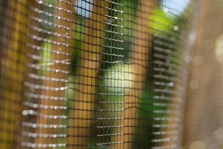 livestock animal protection abstract netting background, closeup