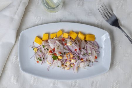 Draufsicht auf Ceviche, typisches Gericht auf Fischbasis der peruanischen Küche, präsentiert in einem rechteckigen Teller.