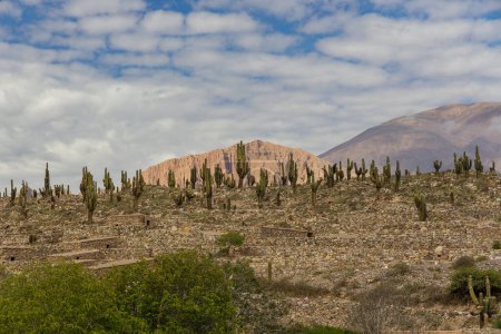 Panoramic view of the Pucara de Tilcara ruins in Jujuy, Argentina.