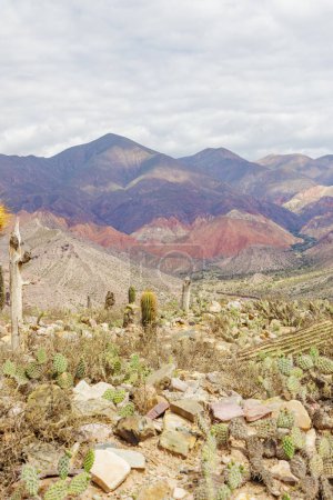 View from Pucara de Tilcara of the colorful hills in Jujuy, Argentina.