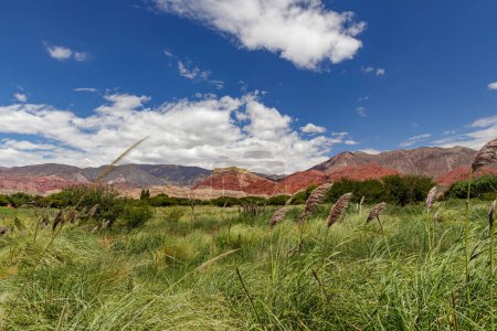 Panoramic view of the hills in in Uquia, province of Jujuy, Argentina.
