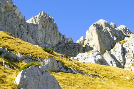 Kontrastreiche Natur im Durmitor Nationalpark: Blick auf einen gemütlichen Grashang und raue graue Felsen vor blauem Himmel. Das Gebiet von Zupci, das Teil des Gebirges Sedlena Greda in Montenegro ist.