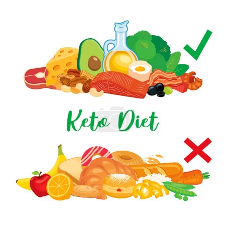 Ketogenic diet food list vector. Keto diet yes and no foods illustration. High fat, low carb diet vector. Foods good for the ketogenic diet drawing. Healthy fat foods still life icon vector