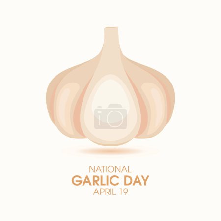 Téléchargez les illustrations : National Garlic Day vector. Fresh whole garlic bulb icon vector. April 19 each year. Important day - en licence libre de droit