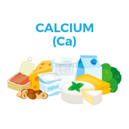 Kalzium (Ca) im Nahrungsmittelsymbolvektor. Kalzium-Nahrungsquellen Vektorillustration isoliert auf weißem Hintergrund. Milch, Käse, Joghurt, Haselnüsse. Haufen gesunder frischer Lebensmittel