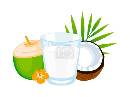 Glass of coconut milk vector illustration. Plant-based milk alternatives drawing. Glass of coconut water and fresh coconut half vector. Vegetable milk, brown and green halved coconut vector
