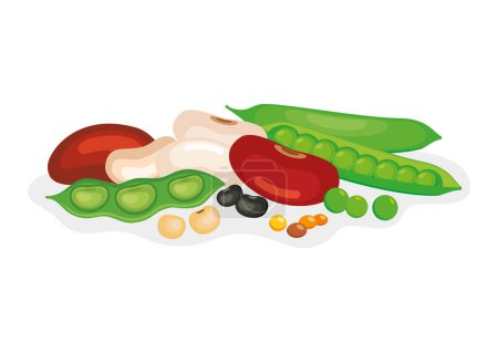 Illustration for Pile of different dried beans and legumes vector illustration. Heap of beans and legumes icon vector isolated on a white background. Green pea, lentil, soybean, kidney bean drawing - Royalty Free Image