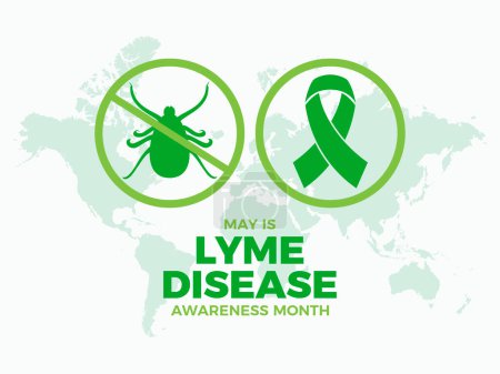 Mai est l'illustration vectorielle affiche Mois de la sensibilisation à la maladie de Lyme. Ruban de sensibilisation vert et tique parasite arachnide silhouette icône ensemble vecteur. Modèle pour fond, bannière, carte. Jour important