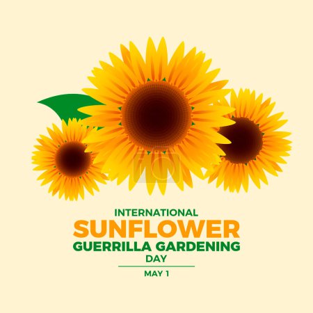 Internationale Sonnenblumen Guerilla Gardening Day Plakatvektorillustration. Schöne Sonnenblume Kopf Vektor. Gelbe frische Sonnenblumen. Vorlage für Hintergrund, Banner, Karte. Jedes Jahr am 1. Mai. Wichtiger Tag