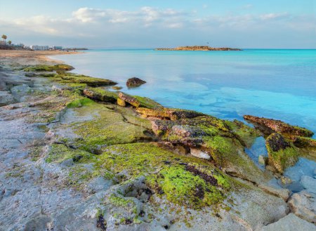 Foto de Fig tree bay in Protaras - Cyprus island - Imagen libre de derechos